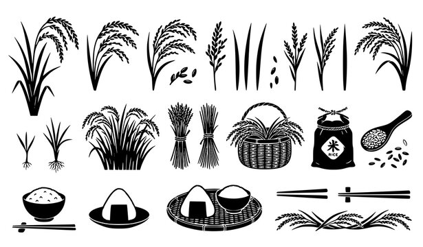 Rice Grain and Onigiri Silhouette Vector Set Botanical Agriculture Collection Isolated on White