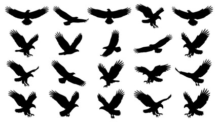 Fototapeta premium Flying Eagle Silhouette Vector Set with Majestic Birds of Prey in Dynamic Flight Poses