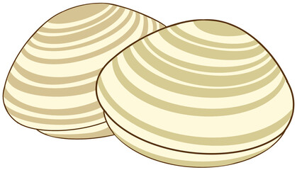 Manila clam © 엔젤 해피