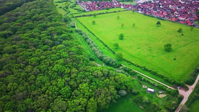 Aerial view of lush green forest beside residential area and open pasture land.