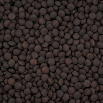 Full Frame Close Up of Raw Black Beluga Lentils Texture Background