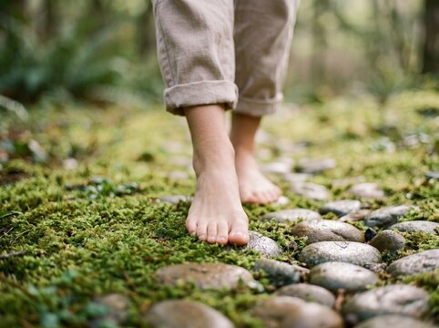 Bare feet walking on mossy path. Person grounding on nature trail in forest.