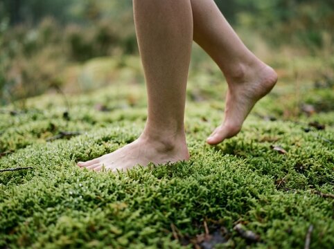 Bare feet walking on soft green moss. Person grounding in nature, connecting with earth.