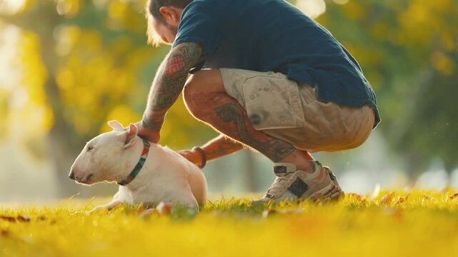 Old bull terrier receives gentle affection from owner in a sunlit park, showcasing a warm bond between pet and human in a vibrant outdoor setting