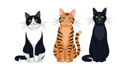 Fototapeta premium Three diverse domestic cats including a black and white tuxedo, an orange tabby, and a solid black cat sitting in a row.