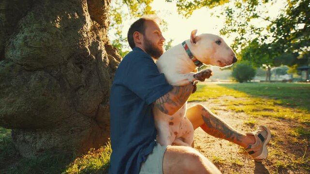 Old bull terrier being held by male owner in a sunlit park, sitting against a large tree with green grass and a tennis ball visible nearby