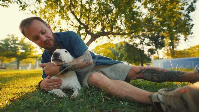 Old bull terrier enjoys playful interaction with owner in sunny park, surrounded by green grass and trees, showcasing a joyful bond between pet and human