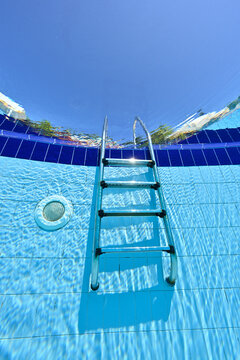 swimming pool ladder