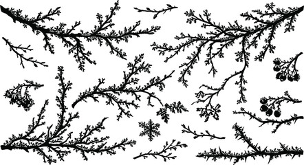 Obraz premium Hand drawn icy tree branches and winter frost twigs bundle with snowflakes silhouette vectors
