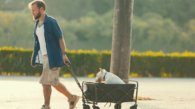 Man walking with a bull terrier in a wagon through a park, surrounded by greenery and benches, showcasing a leisurely outdoor moment in a sunny setting