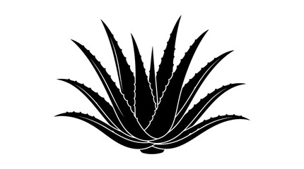 Aloe vera plant silhouette on a white background presents a striking and symmetrical arrangement of spiky leaves. © Mst