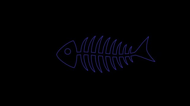 Glowing neon line Fish skeleton icon isolated on black background. Fish bone sign. 4K Video motion graphic animation.