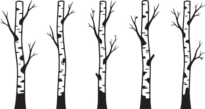 Birch Tree Silhouette Set Vector, Bare Tree Trunk Collection, Black Forest Tree Clipart, Winter Woodland Tree Icons .