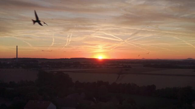 Beautiful sunset over countryside fields with swallows flying in the sky and distant hills