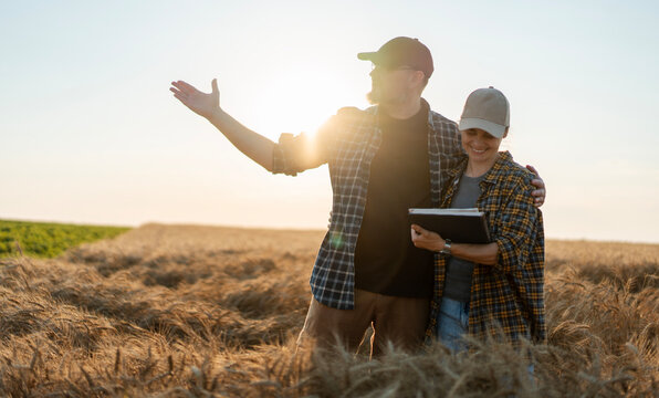 Middle aged farmer father and his young adult daughter examining wheat ears together in a field at sunset