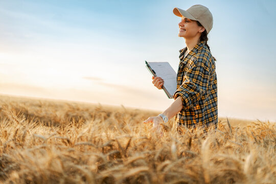 Young caucasian female farmer standing in a rye field at sunset holding a paper clipboard in her hands