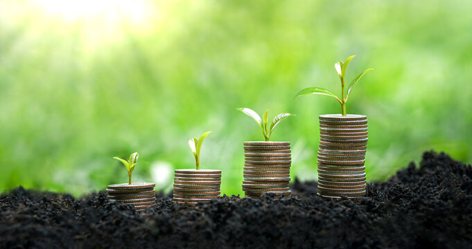 Concepts related to business growth, profit, development, and success; seedling growth; money growth; and green investment.