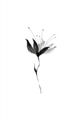 Obraz premium Minimalist black ink flower illustration on a white background.