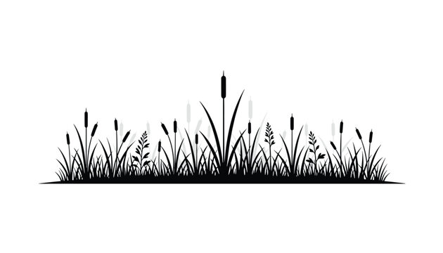 Reeds and wild marsh grass silhouettes standing in a horizontal row composition isolated on a clean white background.