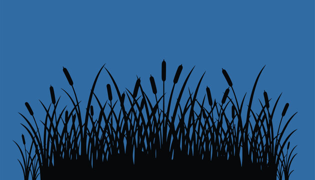 Bulrush reeds silhouette against a deep blue background recreating a serene lakeside evening scenery frame.