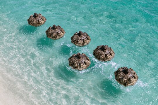 A row of mysterious barnacle-covered objects bobbing in clear turquoise ocean water near a sandy beach.