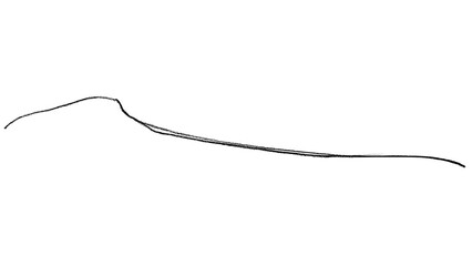 Fototapeta premium Curved black line on white background.