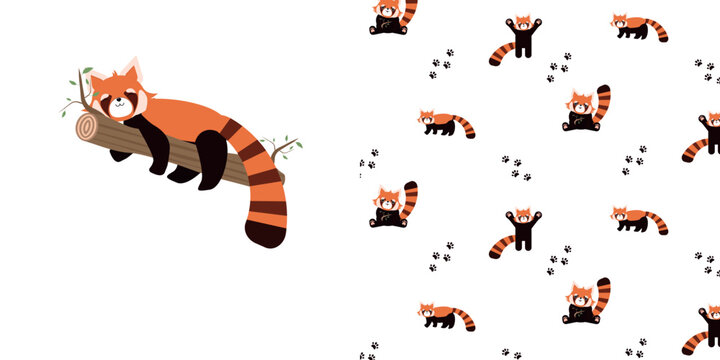 Vector seamless pattern and print for clothing. Pattern with a red panda.