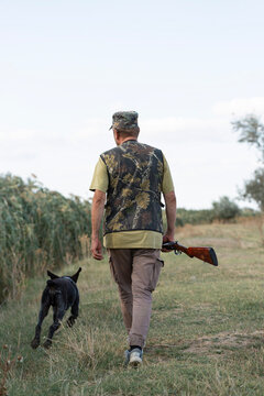 A hunter with his dogs, a spaniel and a german pointer, walk along the reeds in search of a pheasant.