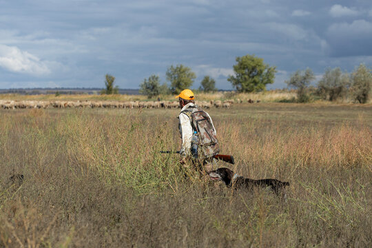 A hunter with a gun in camouflage clothing. A gentleman with a gun, medium shot, unrecognizable.