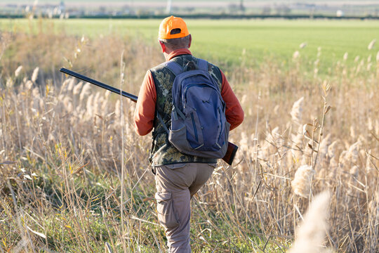 A hunter with a gun in camouflage clothing. A gentleman with a gun, medium shot, unrecognizable.