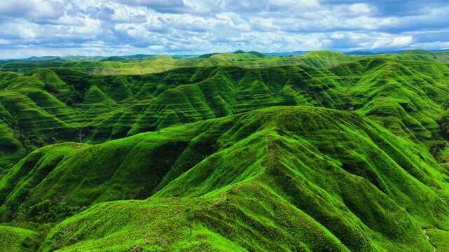 Rolling green savanna hills under a wide blue sky in Sumba Island, East Nusa Tenggara, Indonesia
