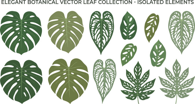 Detailed botanical leaves collection with perforations vector illustration natural green foliage floral design