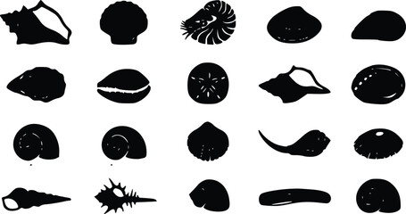 Set of black silhouette icons of different sea shells and mollusks isolated on a flat surface for marine design projects © Arun