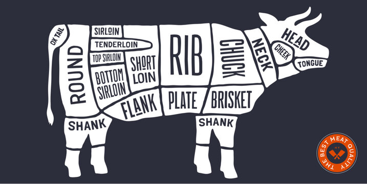 Cow, Beef, hand-drawn butcher cuts meat guide. Chalkboard butcher beef chart cow silhouette scheme, beef cuts chart butcher shop poster diagram, meat guide beef cuts chart. Vector illustration