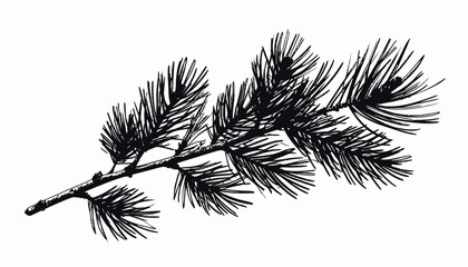 Detailed Pine Branch with Needles Illustration. © putri