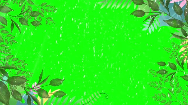 Animated botanical green screen frame with displays repeating botanical