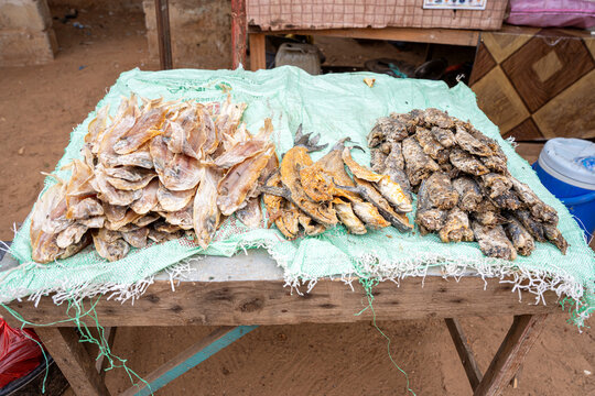 Sc&egrave;ne de march&eacute; en Afrique : Pr&eacute;sentation de diff&eacute;rents types de poissons s&eacute;ch&eacute;s au soleil