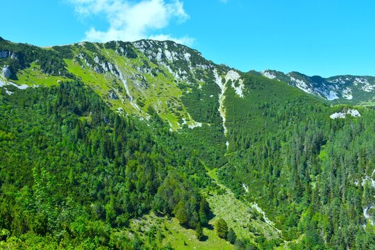Alpine landscape bellow Veliki Zvoh mountain peak in summer in Gorenjska, Slovenia
