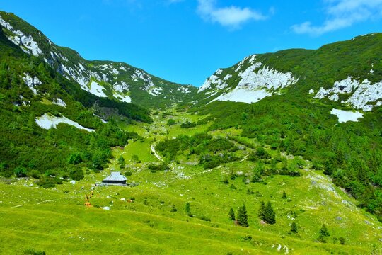 View of a mountain hut at Koren mountain pasture with mugo pine covering the valley sides in Gorenjska, Slovenia