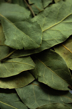 Dried bay leaves texture full frame background. Top view close up of organic green laurus nobilis leaf pattern, traditional aromatic herb and spice ingredient for healthy cooking.