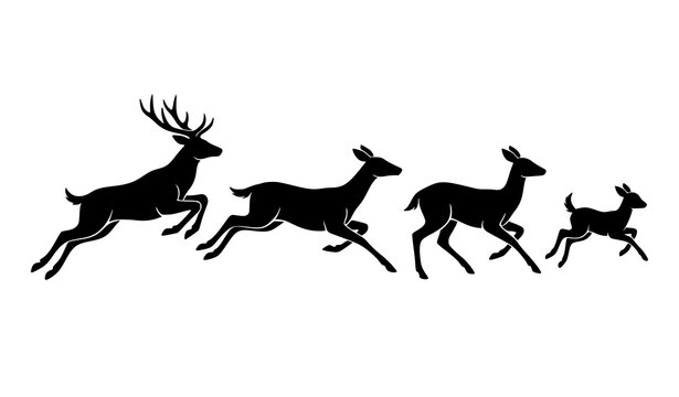 Running deer vector silhouette set with jumping doe and leaping fawn wildlife movement graphics
