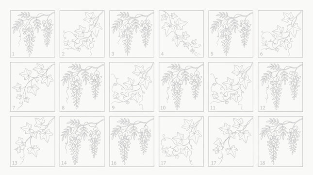 Set of botanical line art illustrations featuring various climbing ivy leaves and hanging wisteria flowers arranged in different elegant compositions on plain white background