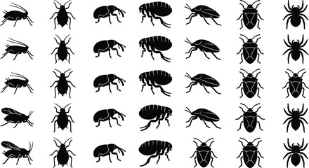 Fototapeta premium Insect and parasite silhouette icon collection featuring fleas spiders aphids shield bugs and weevils for pest control graphic designs