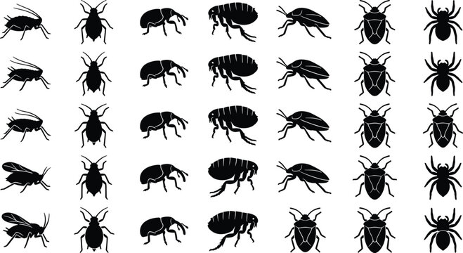 Insect and parasite silhouette icon collection featuring fleas spiders aphids shield bugs and weevils for pest control graphic designs