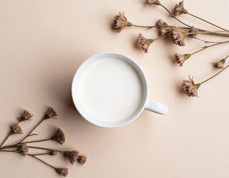 Top View Flat Lay of White Cup Filled with Fresh Milk Surrounded by Dried Flowers on Beige Background