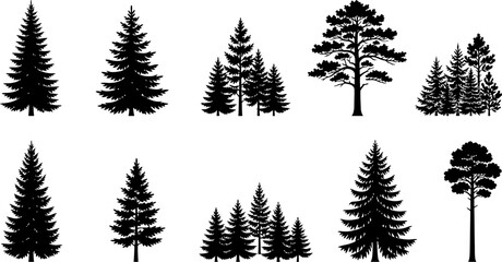 Obraz premium collection of pine trees silhouettes