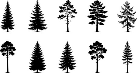 Fototapeta premium Set of various black silhouette trees including pine and deciduous species
