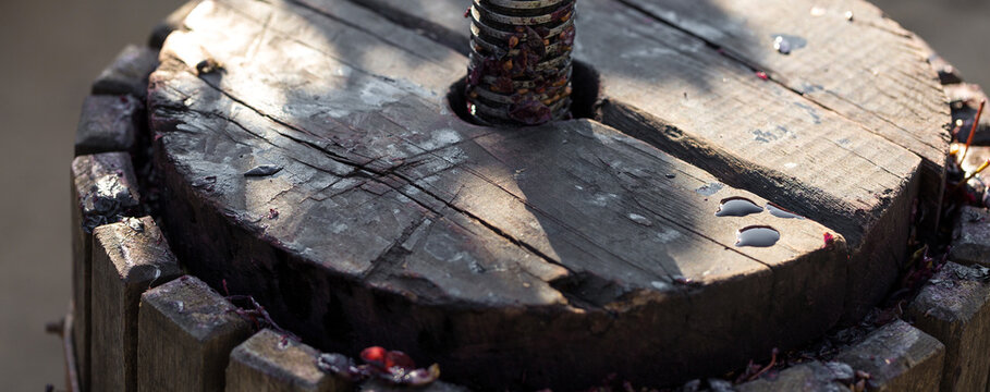 Winepress with red must and helical screw. Production of traditional Italian wines, crushing of grapes.