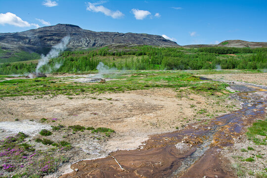 Iceland's Haukadalur valley features a vast geothermal landscape with active hot springs, geysers emitting steam, and mineral rich streams flowing through green vegetation under a blue sky