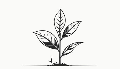 Illustration of a leafy plant with detailed foliage and branches. © ajji